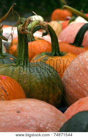 Pumpkins at farmers market