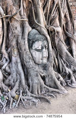 Thailand Landmark
