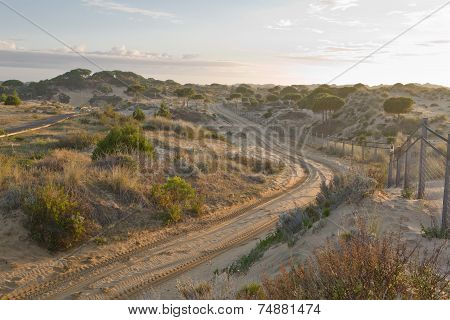 Dunes At Sunrise