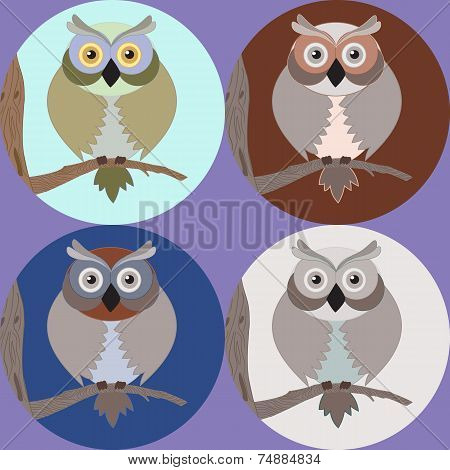 Old owl