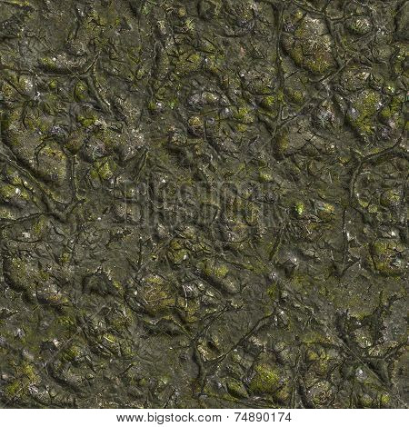 Wizened Swamp Soil with Small Stones.