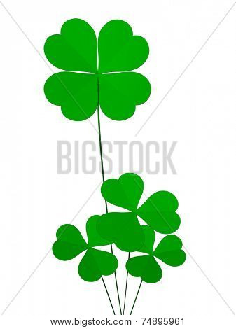 clover four leafs, luck and fortune