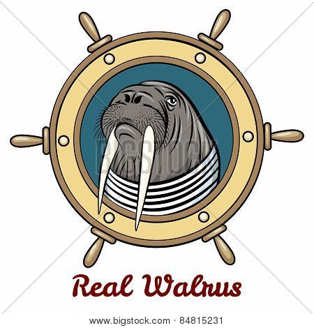The Walrus