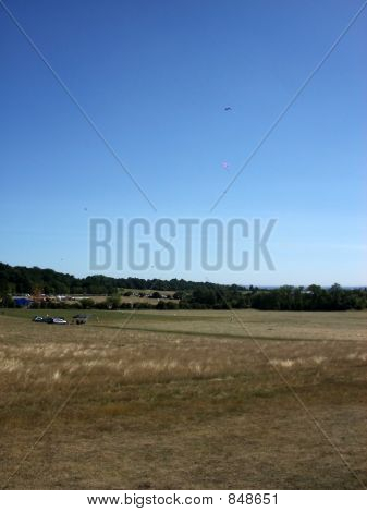 Hainault Wald 11