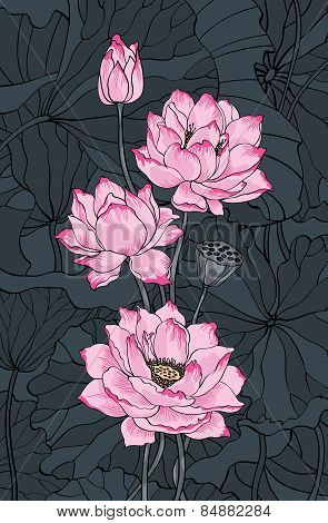 Pink Lotus And Leaves Illustration