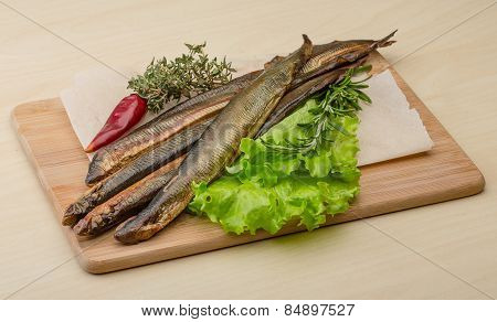 Lamprey