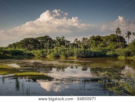 Storm Gathers Over The Jungle Along The Vennar River.