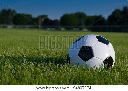 Soccer, ball, park, sunny, day, football, Game