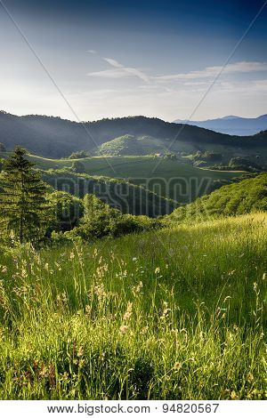 Pale of light. Morning on mountain hills. Holbav