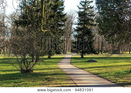 Pathway Among Trees