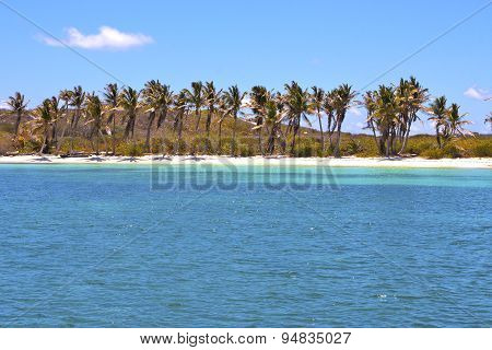 Isla Contoy   In Mexico Day  Wave