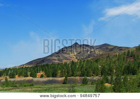 Environmental Contamination
