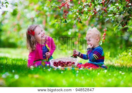 Kids Picking Cherry On A Fruit Farm Garden