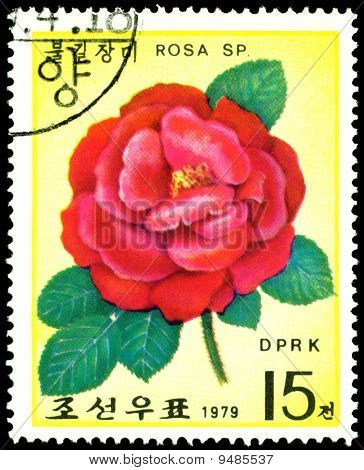 Vintage frimærke. Flowerses af den røde Rose.