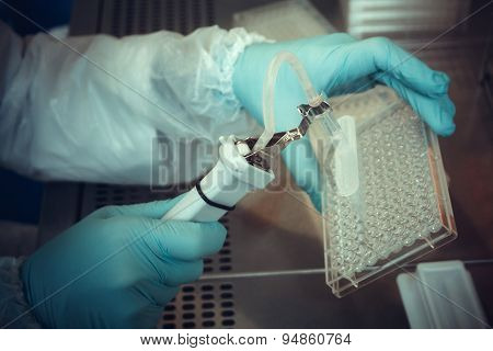 Laboratory Technician Working With Multiwell Pipette