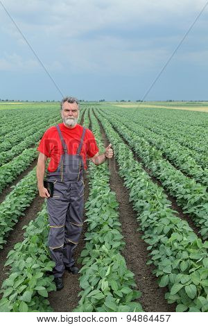 Farmer Or Agronomist In Soy Field