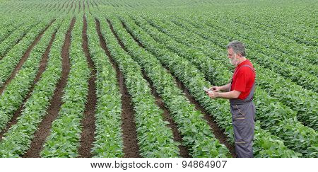 Farmer Or Agronomist In Soy Bean Field With Tablet