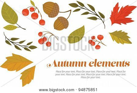 Autumn decorative set