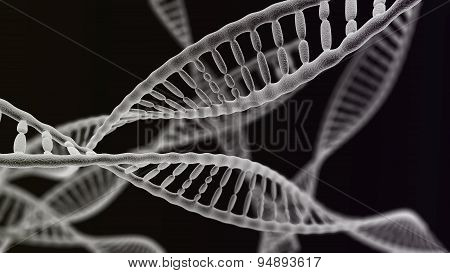 Many Dna Chains On The Black Background
