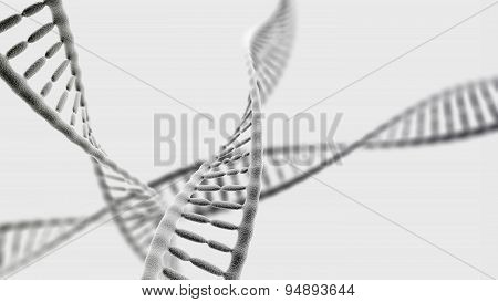Dna Chains On The Light Background