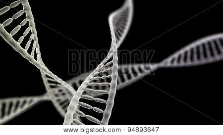 Dna Chains On The Black Background