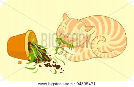 Ginger cat who broke flower pot and eats the grass