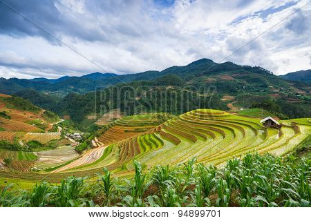 Rice fields on terraced in rainny season at Mu Cang Chai, Yen Bai, Vietnam.