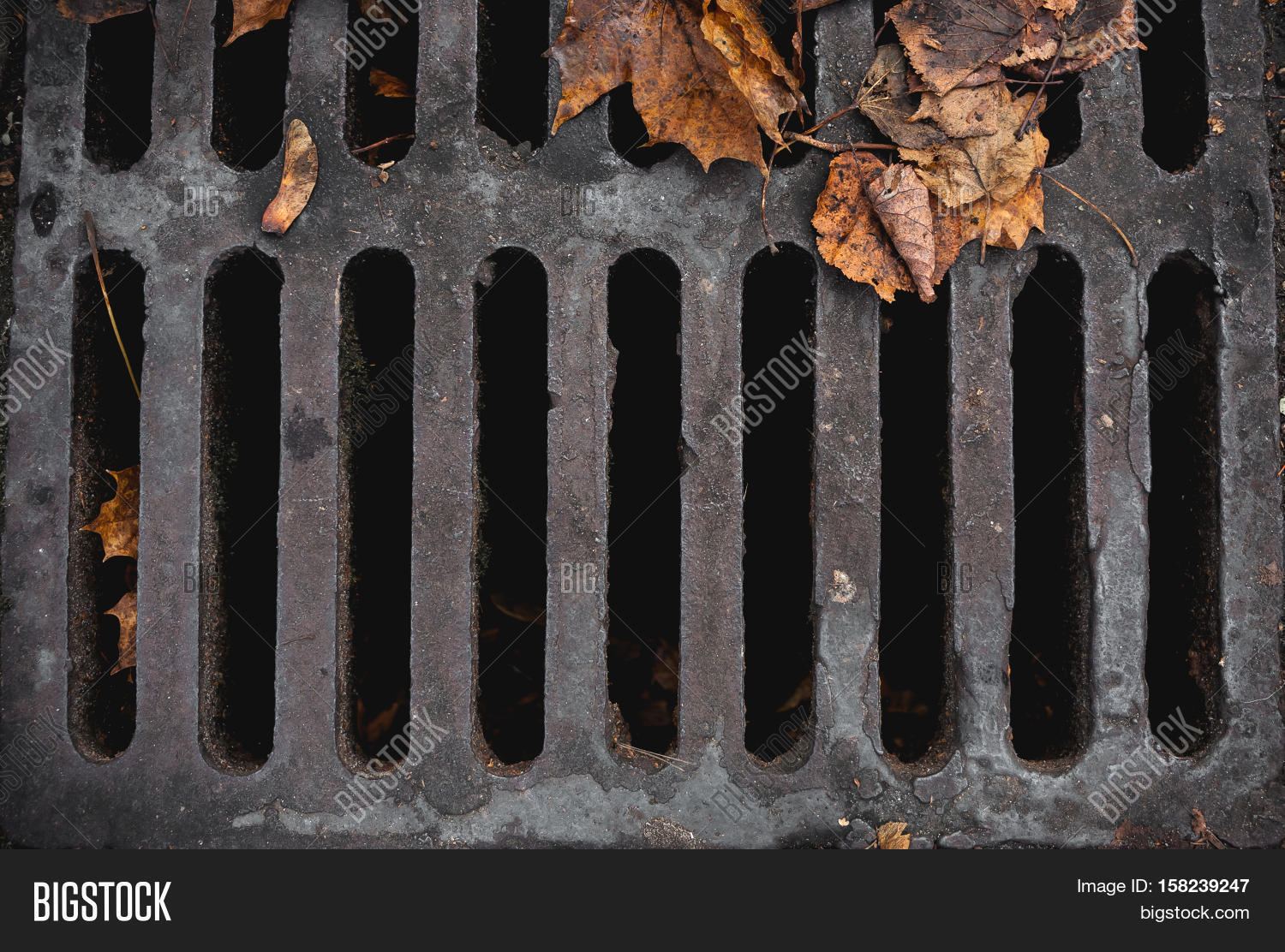 Texture Sewer Grates Image & Photo (Free Trial) Bigstock