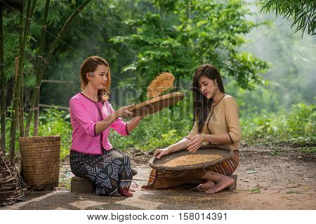 Beautiful Thai Asian Women Winnow Rice Separate Between Rice And Rice Chaff Identity . In Traditiona