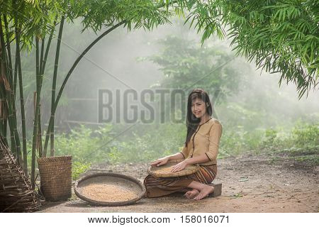 Beautiful Thai Asian Women Winnow Rice Separate Between Rice And Rice Chaff Identity . In Traditiona