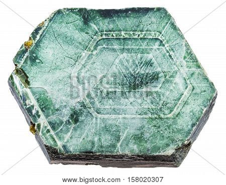 Piece Of Phlogopite (magnesium Mica) Crystals