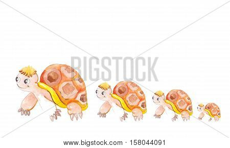 Turtles in a row for continued growth