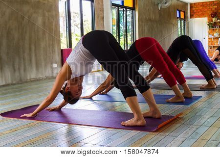 Group of young people relaxing and practicing in yoga