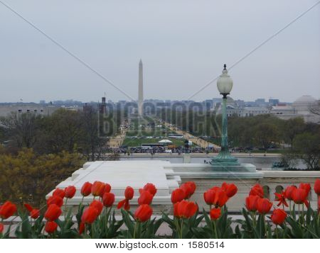 Washington Monument