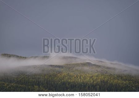 Mist evaporating from the swedish pine forest parts lit up by golden sunlight in moody landscape
