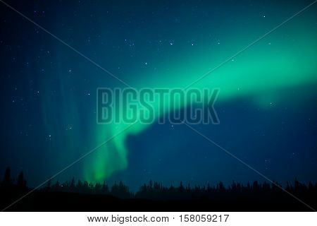 Aurora borealis above Denali Np, Alaska, USA 1