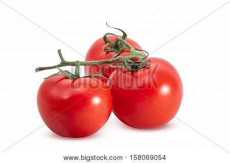 Three tomatoes on a branch on white background