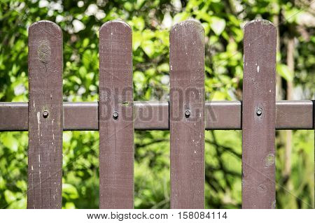 The brown old fence photo. Green background