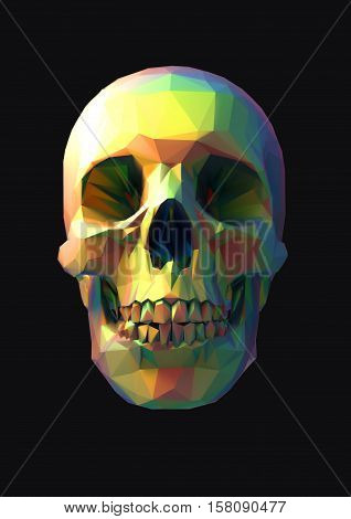 Low poly vector 3D rainbow skull in front view