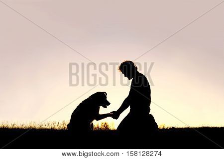 A young man is sitting outside training his pet dog and shaking hands on a summer evening silhouetted by the sunset in the sky.