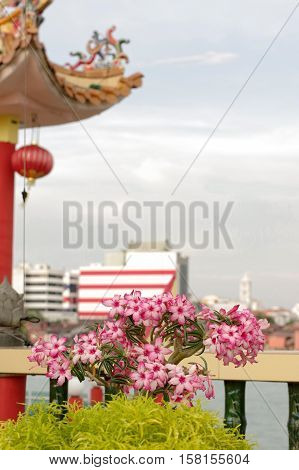 GEORGETOWN MALAYSIA - JANUARY 18 2016: closeup view of Hean Boo Thean Kuanyin Chinese Buddhist temple in Clan Jetties. Built on stilts over the harbor of George Town