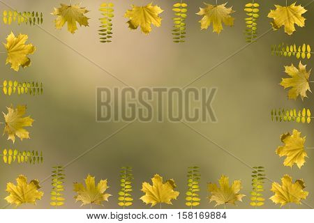 Fall Frame Concept