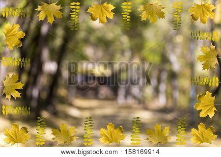 Fall Frame Concept