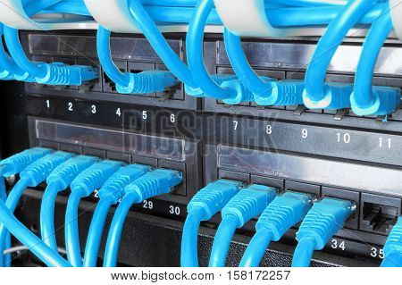 Server rack with blue internet patch cord cables connected to patch panel in server room