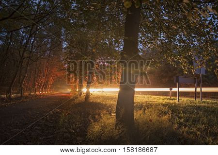 Car light trails in beautiful autumn colored forest