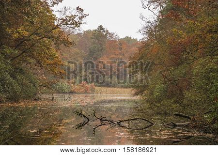 Early morning walk in the forest is as always very peacefull