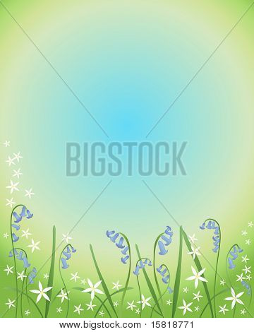 Bluebells und Wald