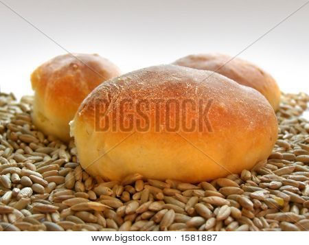 Karbanátky v pšenice