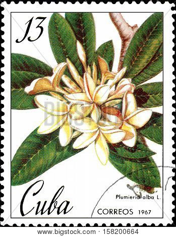 Cuba - circa 1967: Stamp printed in Cuba shows image of a Plumieria alba, circa 1967