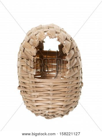 osier nest bird in front of white background